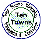 10 Towns logo